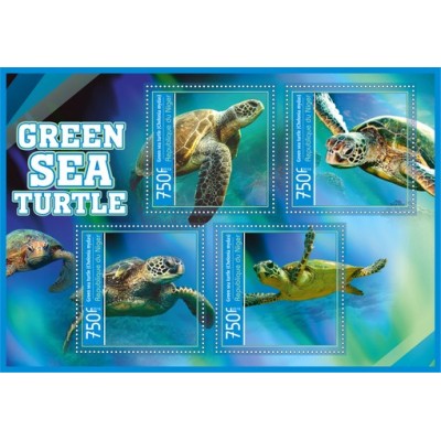 Фауна Зелёная морская черепаха